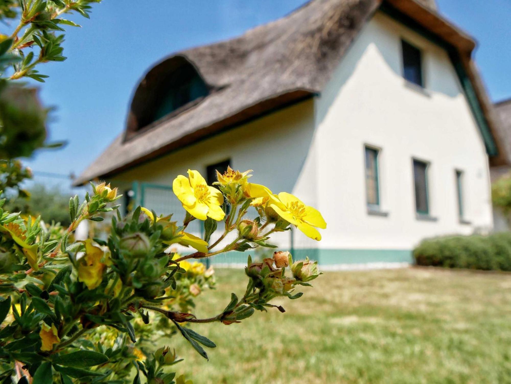 Ferienpark Scharmuetzelsee Wendisch Rietz Dış mekan fotoğraf